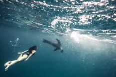La mujer que bate récords bajo el agua sin más ayuda para respirar que la de sus pulmones