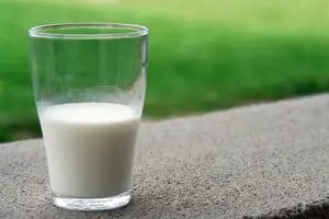 Qué pasa si tomás leche de soja a diario: cuáles son sus beneficios y qué contraindicaciones tiene