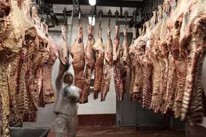 Carne: ideas sobre la mesa para poner manos a la obra