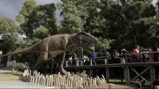 El Tiranosaurio Rex parece perseguir a los visitantes en la pasarela