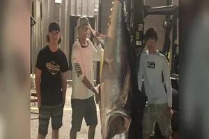 Estados Unidos: tres adolescentes pescaron un atún rojo de 317 kilos