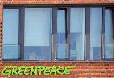 Greenpeace denunció ante la CIDH aprietes de personas cercanas al Gobierno