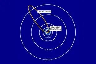 Diagrama que muestra la órbita de (248370) 2005 QN173 junto con el cinturón de asteroides principal y las órbitas de Júpiter, Saturno, Urano y Neptuno, y el cometa Halley para comparar