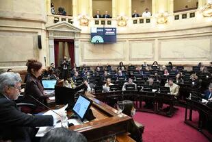 Cristina Kirchner presidió esta tarde la sesión del Senado