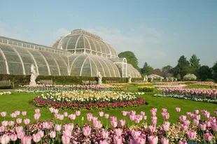 50.000 plantas se combinan con una arquitectura imponente en los diversos invernaderos y edificios de los Royal Botanic Gardens.