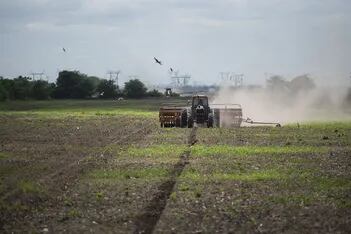 Ingreso transitorio y permanente en el agro argentino: una diferencia que cobra relevancia en medio de la sequía