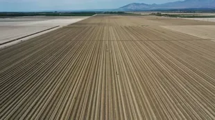 California enfrenta su peor sequía desde 1977.
