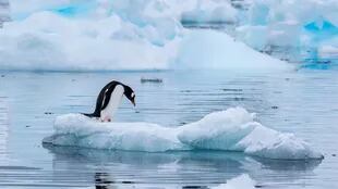 Hoy la Antártida está protegida, pero en 2048 eso podría cambiar.