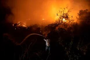 En los primeros 21 días de setiembre hubo 5900 incendios en el Pantanal