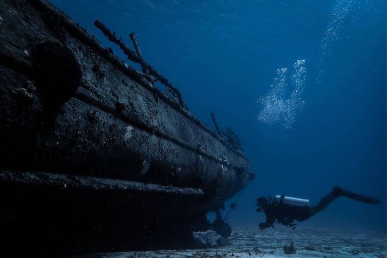 Nicolás Marin comenzó a trabajar como fotógrafo submarino a los 18 años en México