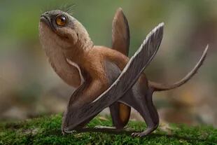 Los científicos identificaron al dinosaurio como un nuevo género y especie de pterosaurio llamado Sinomacrops bondei