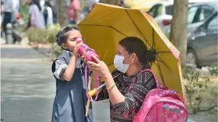 La reciente ola de calor en India ha impactado en las vidas de millones de personas
