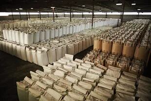Cientos de paquetes con semillas de amapola, en un depósito de Australia