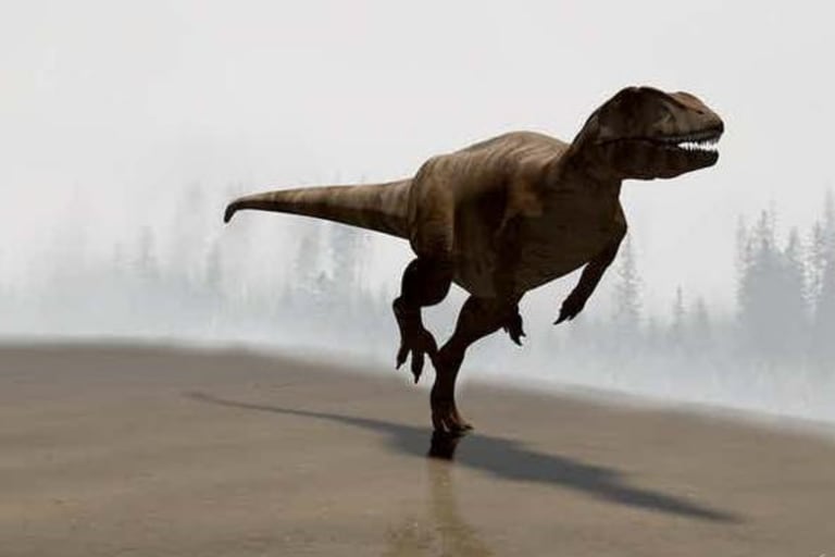 Los carcharodontosaurios fueron dinosaurios carnívoros que vivieron en el Cretácico Inferior hace unos 120 millones de años