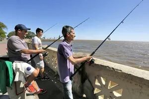 Prohibirán la pesca de merluza en algunas zonas