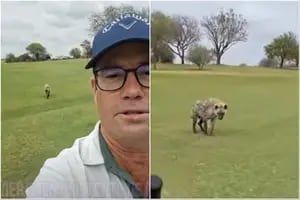 Un instructor de golf fue perseguido por una hiena y su reacción se volvió viral