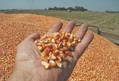La crisis del Mar Negro amenaza la oferta de trigo y de maíz en la campaña 2022/2023
