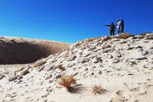Las huellas fósiles se encontraron en el antiguo depósito del lago Alathar en Arabia Saudita