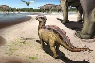 Hallazgo histórico: descubren la huella de un dinosaurio del tamaño de un gato