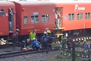 Sacaban paltas de un árbol sobre las vías del tren Belgrano Norte, uno murió atropellado y el otro está herido