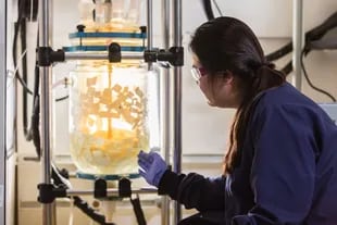 En su laboratorio, Wang trabaja en una tecnología que transforme el plástico en sustancias químicas