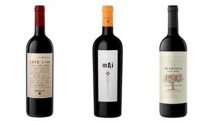 Old vines: vinos para descubrir la historia de la viticultura argentina