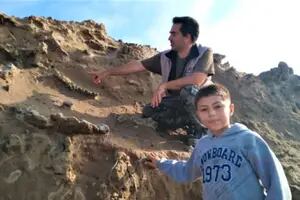Caminaba por la playa en Miramar y encontró fósiles de un perezoso gigante de hace unos 100.000 años