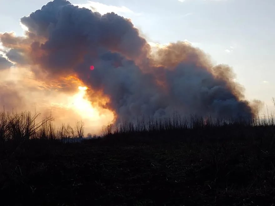 Los productores agropecuarios ven una intencionalidad en los incendios para perjudicarlos