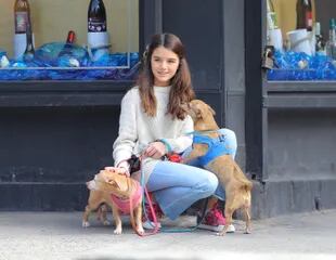 Suri Cruise en Nueva York paseando a sus perros