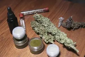 La Pampa. Un fiscal dictaminó a favor del uso del cannabis con fines medicinales