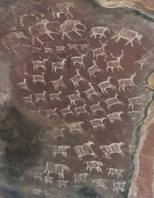 Los investigadores enfrentan varios peligros (cobras, tigres y enjambres de abejas) para documentar las pinturas rupestres en Madhya Pradesh