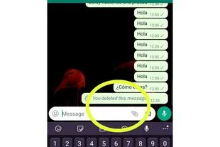 Al eliminar el envío aparecerá un mensaje que revela que hubo un texto que fue eliminado