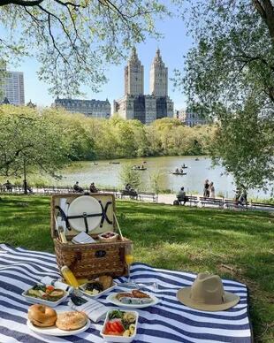 Picnic en el Central Park: el servicio que brinda el hotel Park Hyatt New York