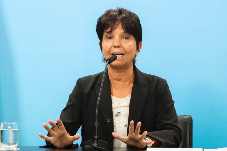 Mercedes Marcó del Pont, titular de la AFIP, reveló que "casi la mitad del patrimonio declarado por quienes pagaron el Aporte está fuera de la Argentina".