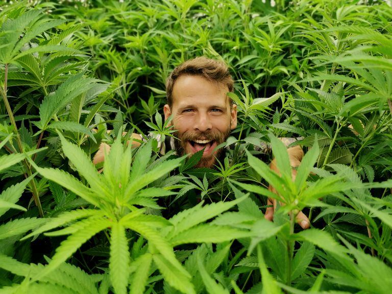 El argentino autodidacta que hizo una carrera exitosa con el cultivo de cannabis