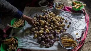 La familia Ávila prepara su almuerzo de patatas y pescado en el piso de su casa en Coata, un pequeño pueblo a orillas del lago Titicaca, en la región de Puno, Perú