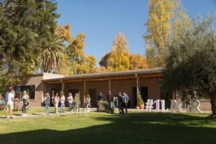 Las visitas guiadas a la olívicola incluyen recorrido de la finca, sus olivos centenarios y la degustación de sus premiados varietales.