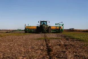La siembra de trigo, según la Bolsa de Comercio de Rosario (BCR), bajaría en 500.000 hectáreas, a 6,35 millones de hectáreas