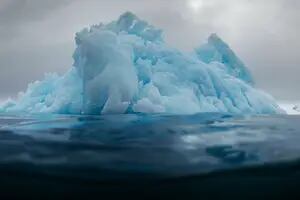 Día 4 - Nota mental: no caerme al agua en la Antártida