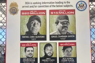 Los líderes del Cártel de Sinaloa por los que la DEA ofrece hasta 45 millones de dólares