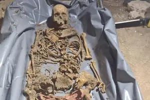 Encontraron el esqueleto de una mujer que había desaparecido hace 10 años