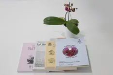 Floricultura: orquídeas y libros