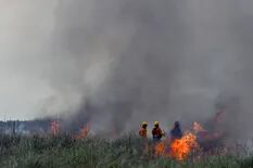 Un incendio afecta un importante sector de bosques y se suma otro foco en Madariaga