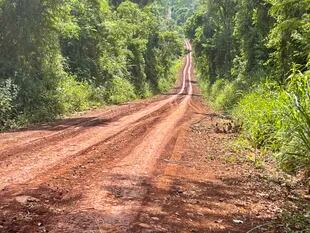 La ruta nacional 101 atraviesa el Parque Nacional Iguazú, en Misiones