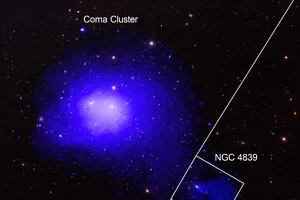Descubren que un grupo de galaxias “viajeras” dejan tras de sí una cola de gas de un millón y medio de años luz