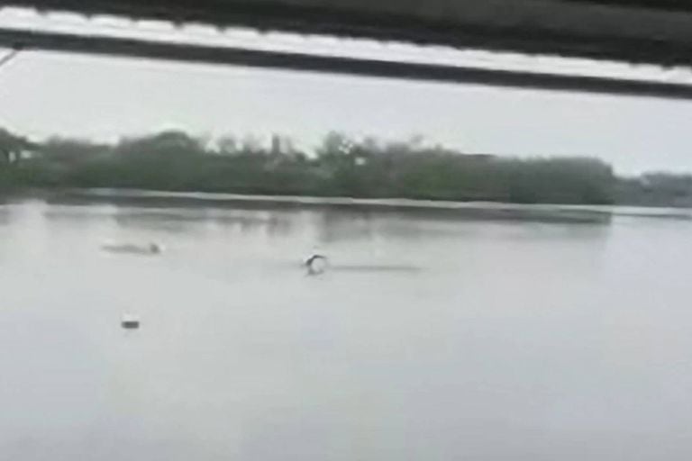 Un hombre murió atacado por un cocodrilo mientras nadaba en un lago