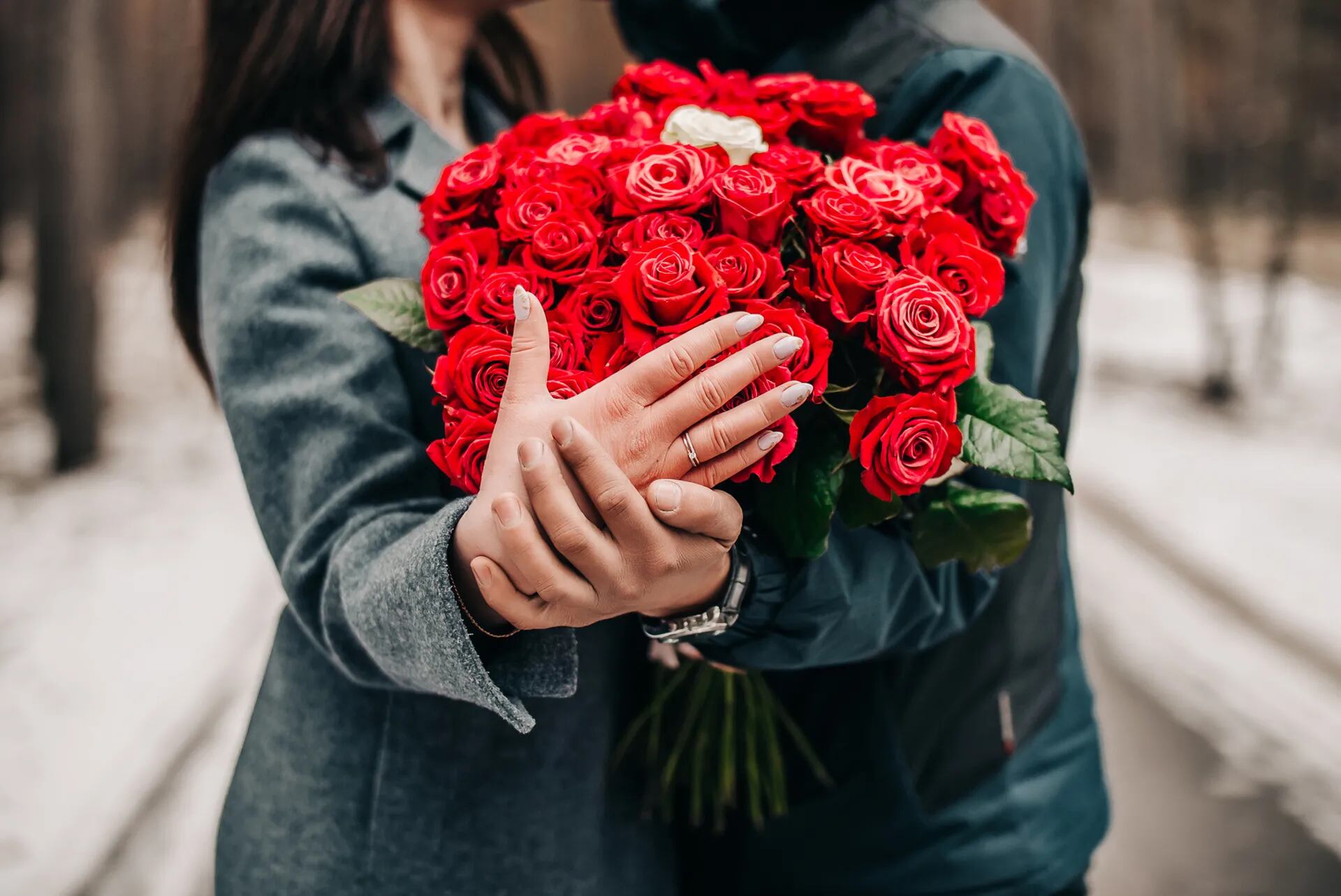 El Día De Los Enamorados Y El Lenguaje De Las Rosas Cuántas Debe Tener Un Ramo Para Decir Te