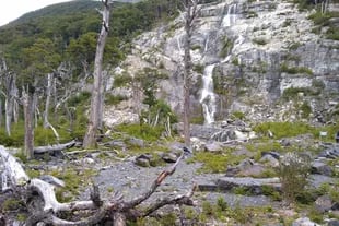 La primera sorpresa que trae el desembarco es esta pequeña cascada, sin nombre, que recibe a los turistas en medio del bosque andino 