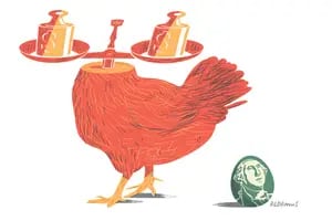 El huevo o la gallina: ¿déficit cero o dolarización?
