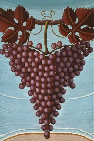 Una reproducción de Racimo de uvas, obra pintada por Maruja Mallo durante su exilio en la Argentina, aparece colgada en la cocina de la casa de Salvador Mallo en Dolor y gloria
